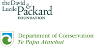 logo3